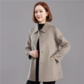 Cashmere camel