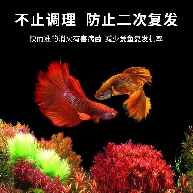 Methylene blue fish white spot disease koi water mildew blood fish medicine fish tank disinfection Aquarium Conservation prevention solution