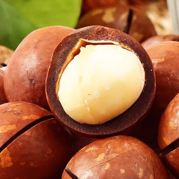 Creamy Macadamia Nuts with Thin Skin and Large Particles in Bags, New Year's Nuts, Snacks, Summer Fruits, Walnuts, Macadamia Nuts