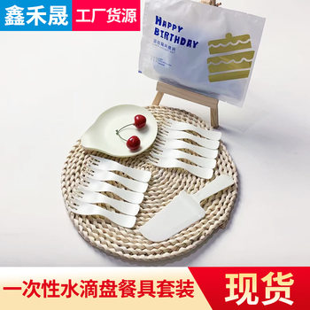 Internet Celebrity Cake Tableware Food Grade PS Water Drop Plate Fork Birthday Party Disposable Cake Plate Combination Set