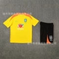 2526 short sleeve brazilian yellow