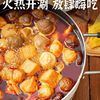 Hot Pot Ingredients Set: Anjing Hot Pot Meatballs, Shrimp Paste, Beef Balls, Fish Tofu, Fish Balls, Fish Roe Balls, Spicy Hot Pot Ingredients