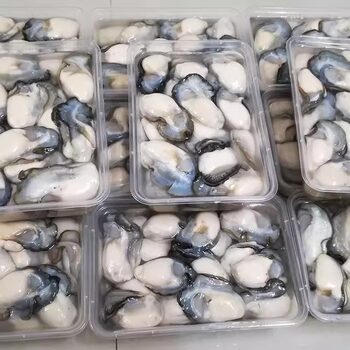 Oyster Meat, Freshly Shucked Oysters, Fresh Shelled Boxed Fresh Frozen Large Oysters, 10 Aquatic Products, Sf Cold Chain