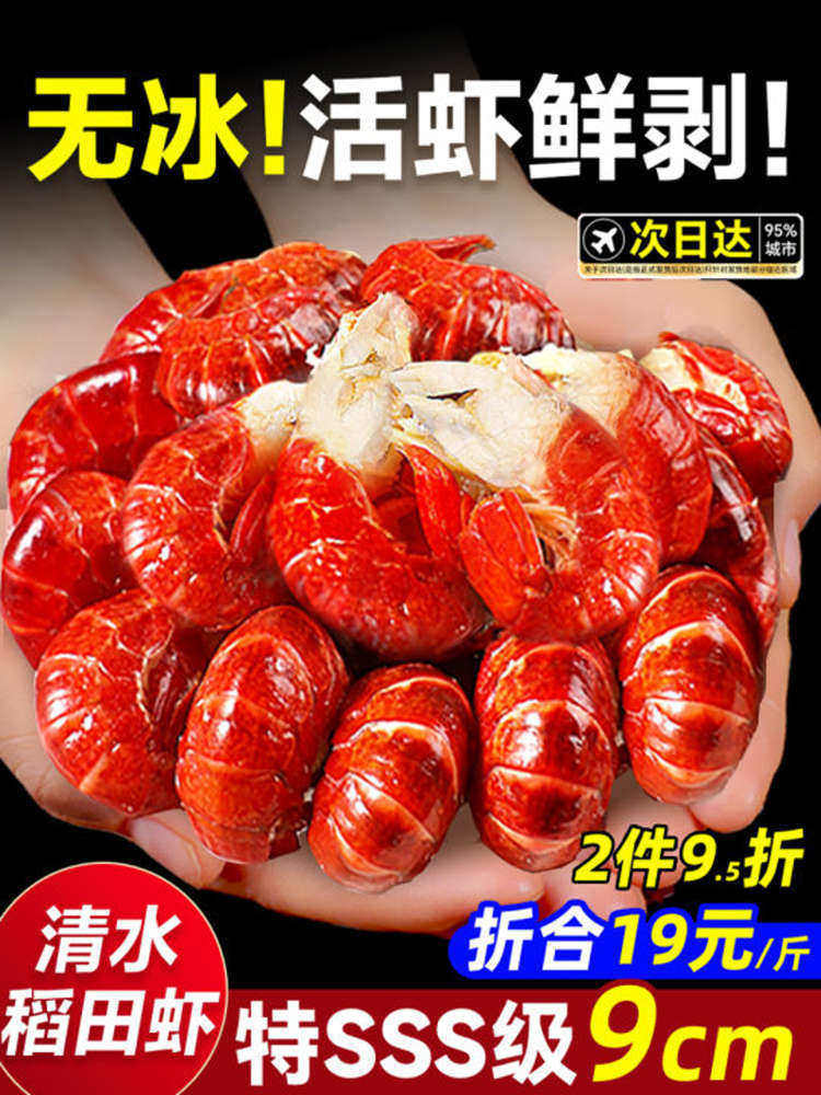 Large Lobster Tail, Frozen Live Crayfish Without Ice Coating, Premium Lobster Tail Shrimp Balls, Fresh Frozen Wholesale Fresh Box A3