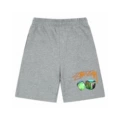 1029 Gray