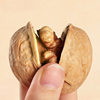 Whole Box Wholesale Dropshipping 100g Bagged Casual Snacks Thin-Skinned Original Large Fruit Hand-Punched Roasted Walnuts Roasted Walnuts