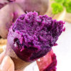 Fresh Purple Sweet Potatoes 5kg Farm Vegetables Freshly Dug Soft Glutinous Chestnut Sweet Potatoes Red Sweet Potatoes Purple Heart Honey Sweet Potatoes