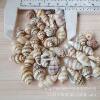 Natural shell conch perforated white corn snail DIY handmade jewelry necklace bracelet jewelry accessories material manufacturers