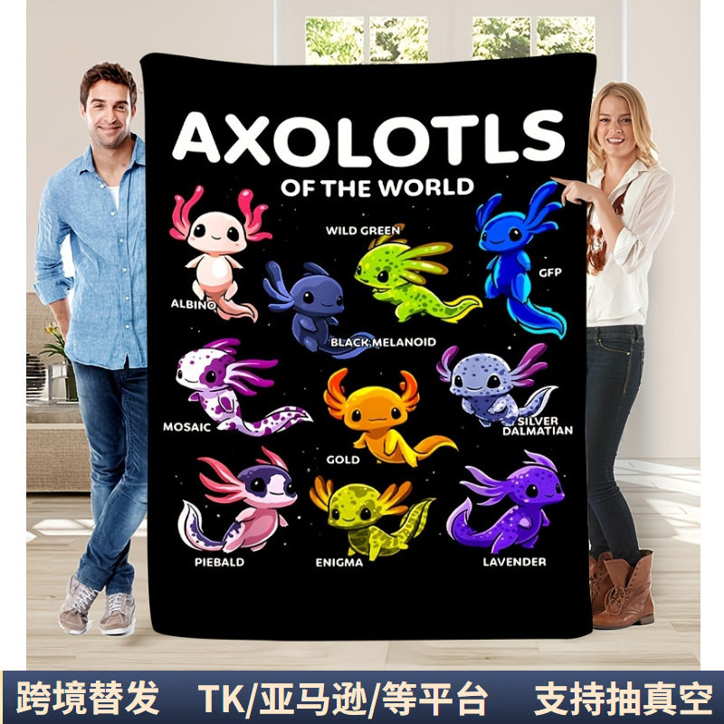 Amazon Temu Cross-Border Pod Digital Printing Cartoon Blanket Fleece-Lined Thickeneded Flannel Blanket Supports Customization