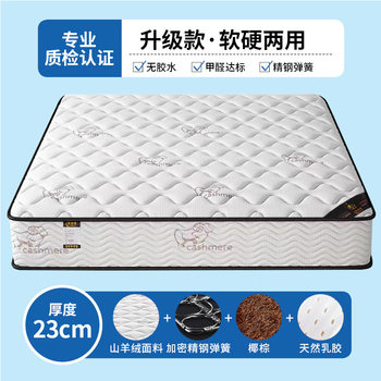 Mattress Economical 20cm Thick Household Spring Latex Coconut Palm Soft and Hard Dual-Use Aliexpress Amazon Free Shipping