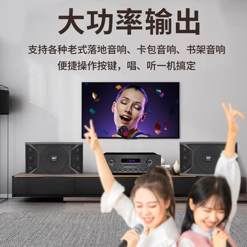 Household Bluetooth High-Power Fixed Resistor Amplifier Speaker Amplifier Surround Karaoke Speaker