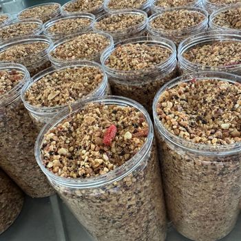 Spot Handmade Brown Sugar Nut Tea 500g Per Can