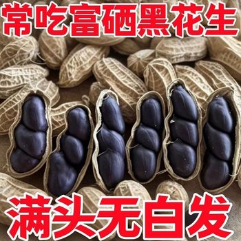 Special]Authentic Selenium-Rich Black Peanuts from Yunnan, Shelled Purple Peanuts, Black Peanuts for Stomach Nourishment, Raw Peanuts