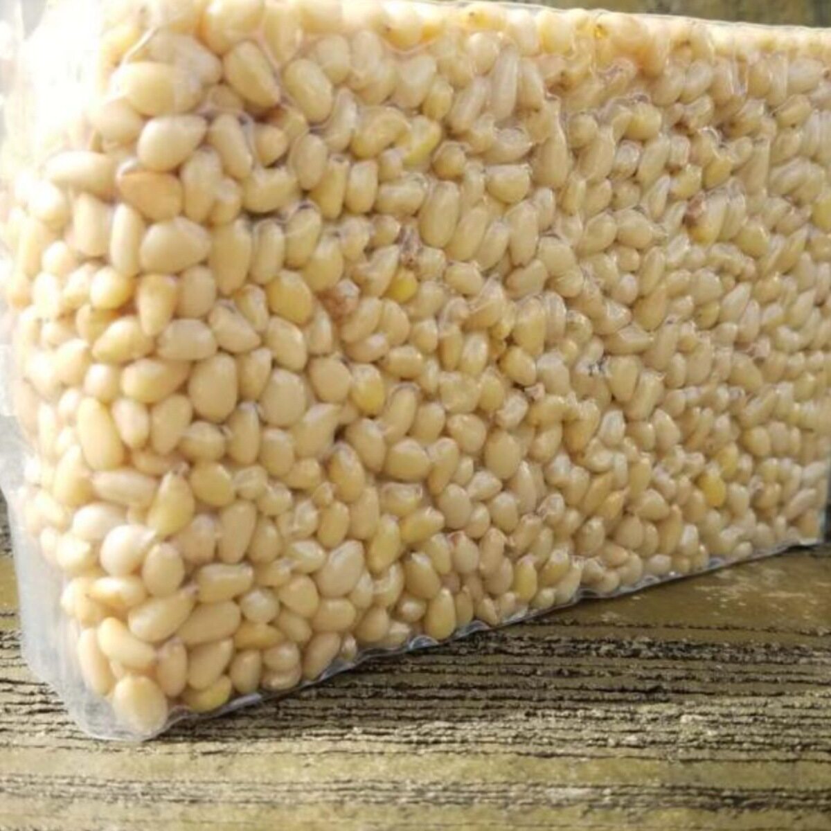 Daxinganling Wild Pine Nuts Original Flavor 250g Vacuum Northeast Specialty Mature Dried Nuts Yan Pine Nuts Original Flavor