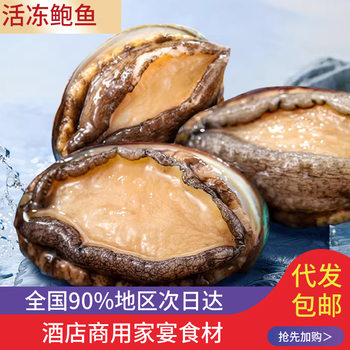 Frozen Abalone, Fresh Quick-Frozen Seafood, Frozen Abalone Meat Hot Pot, Commercial Shellfish and Aquatic Products Wholesale