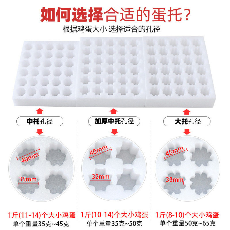 Egg Tray Carton Egg Box Local Egg Express Packaging Box Gift Box Anti-Collision Foam Box Storage Box Pearl Cotton Tray