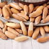 New Arrival Extra Large Particle Hand Peeled Brazilian Pine Nuts New Arrival Thin Shell Original Nut Snack Specialty 500G16G Wholesale