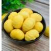 Raw Chestnut Kernels Factory Export Processed Chestnut Filling Ingredients Fresh Wholesale Wild Chestnuts Peeled and Shelled