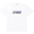 S048 white