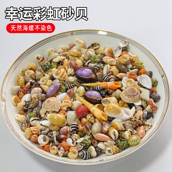 Shell Conch Sell Lucky Rainbow Sand Shell Mixed with Shell Sand Handmade DIY Table Making Floating Bottle