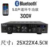 Sunbuck Shan Yu Amplifier Karaoke Amplifier High Power with Card Remote Control Bluetooth Amplifier