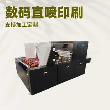 Wuhan Corrugated Cardboard Digital Printing Machine Lianyungang Paper Cup Sheet Small Plateless Printing Machine