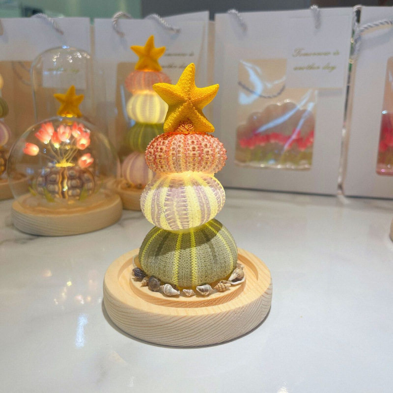 New Year and Spring Festival Ornaments Shell DIY Sea Urchin Shell Luminous Night Light Material Package Birthday Gift for Girlfriend Conch