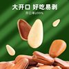 2026 New Large-Sized Open Pine Nuts, Non-Specialty Grade, Extra Large Northeast Pine Nuts, Nut Snacks Wholesale and Dropshipping