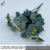 12-дюймовый европейский денежный лист DMY cyan green