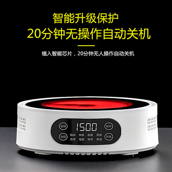 New household electric pottery stove tea maker teapot mini tea cooker induction cooker a generation of hair