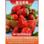 3 горшка с рассадой клубники Sweet treasure strawberry (оригинальная почва и оригинальные горшки)