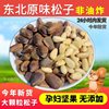 New Northeastern Large Pine Nuts Original Handmade Fried Large Particles Hand-Peeled Pine Nuts Snacks for Pregnant Women