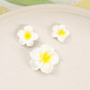 Plumerian flower diy resin flower accessories handmade material diy children's hair rope hair accessories material diy jewelry accessories