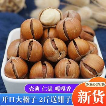 Northeast Specialty Large Hazelnuts New Arrival Original Thin Shell Roasted Large Hazelnuts Nuts Roasted Snacks 500g Free Shipping