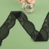 Black Lace Stretch Lace Lace Lace Underwear Clothing Lace Accessories in stock