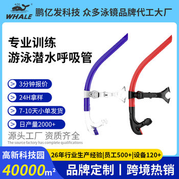 Cross-Border Foreign Trade Adult Men and Women Free Diving Swimming Fully Dry Snorkel Diving Set Equipment Snorkeling Respirator