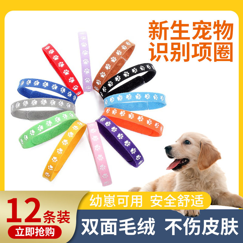 Pet Classification Collar Puppy Puppy Cat Identification Footprint Collar Newborn Puppy Cat Birth Dairy Dog Necklace
