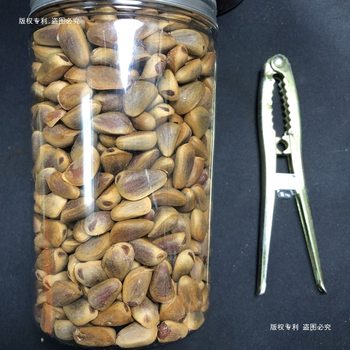 Fresh Raw Pine Nuts, Cooked Pine Nuts, Northeast Specialty, Extra Large Northeast Pine Nuts, Red Pine Nuts, Original Flavor Open Pine Nuts