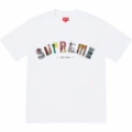 S029 white