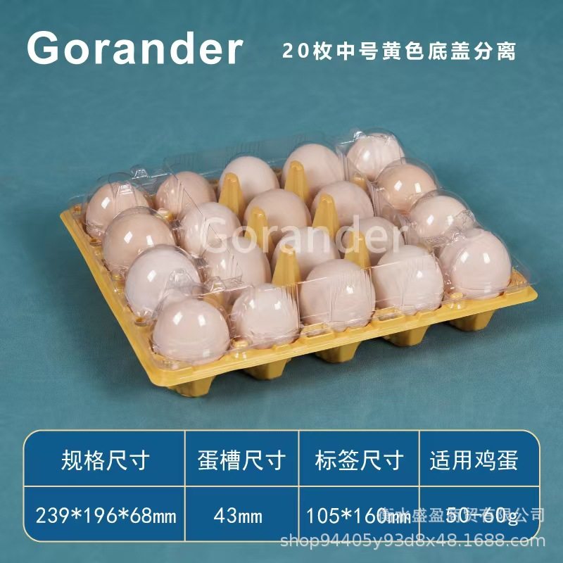 Plastic Egg Tray for 20 Eggs, Separated Type, Medium Size, Black Base, Transparent Lid, Thickened, Colorful Egg Packaging Box, Wholesale Price