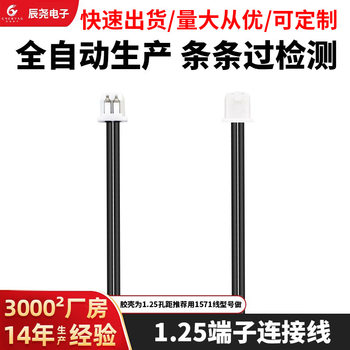 1.25 Customized Terminal Wire Harness Red and Black Battery Terminal Connection Line Processing Customized Terminal Wire Quick Connection