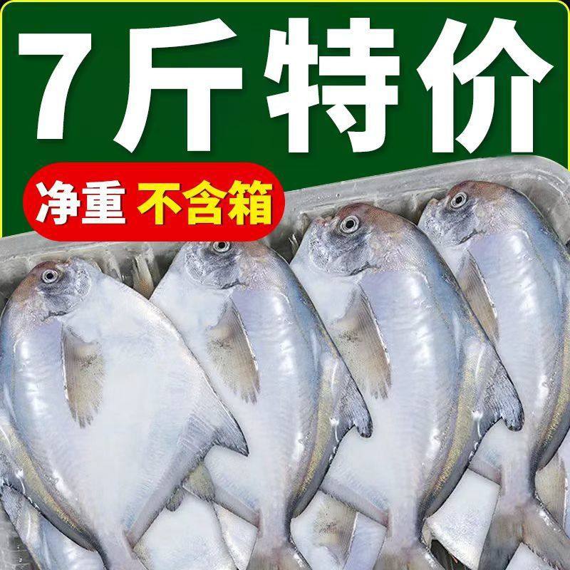 [Net Weight Without Ice] Fresh Frozen Pomfret, East China Sea Silver Pomfret, Fresh Seafood, Aquatic Products, Sea-Caught White Pomfret, Flat Fish