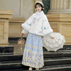 Luozhu Original Ming-Style Hanfu for Women 2025 New Autumn and Winter Mamian Skirt Set, Daily Improved Version, Super Fairy-Like Ancient Costume