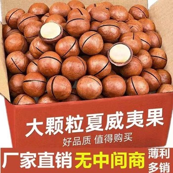 Macadamia Nuts 5 Years New Extra Large Capsules Creamy Original Dried Fruit Whole Box Casual Snacks