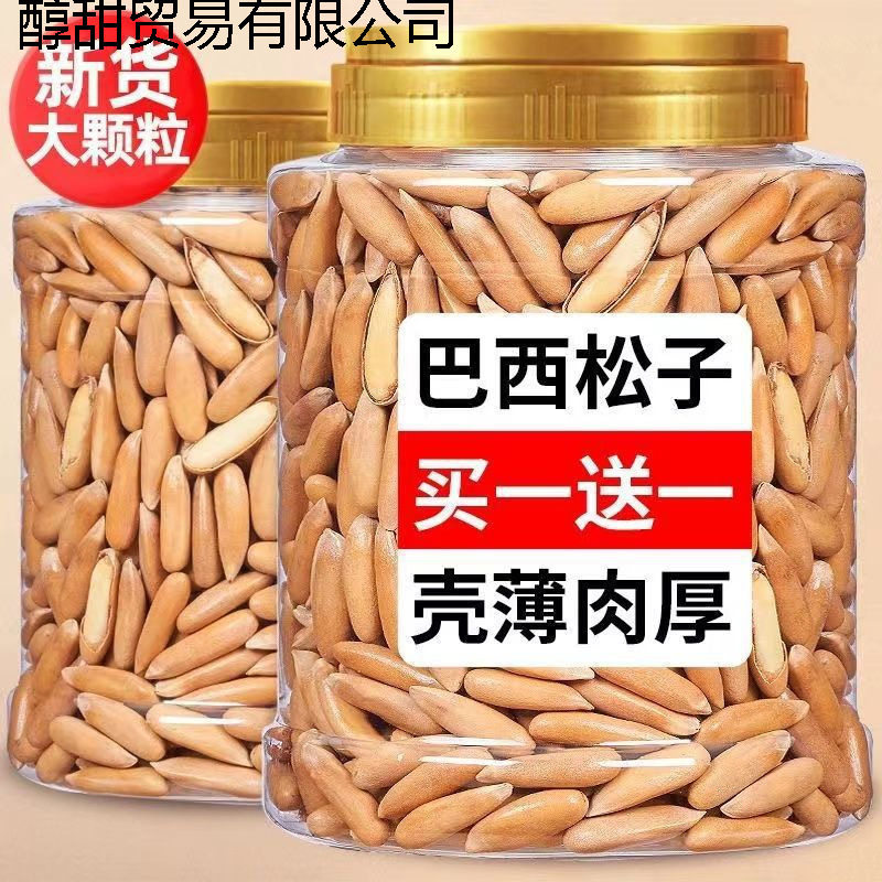 New Arrival Extra Large Particle Hand Peeled Brazilian Pine Nuts New Arrival Thin Shell Original Nut Snack Specialty 500G16G Wholesale