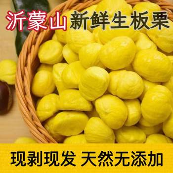 Raw Chestnut Kernels Factory Export Processed Chestnut Filling Ingredients Fresh Wholesale Wild Chestnuts Peeled and Shelled