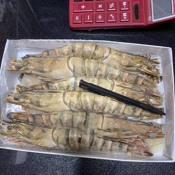 Extra Large Black Tiger Prawns 6 Pieces/600G* Box Frozen Festival Prawns Wild Black Tiger Prawns Shipped from Guangzhou