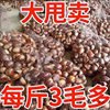 Fresh Chestnuts from the Farm, Freshly Picked Raw Chestnuts, Oil Chestnuts, Non-Mianxi Chestnuts 1