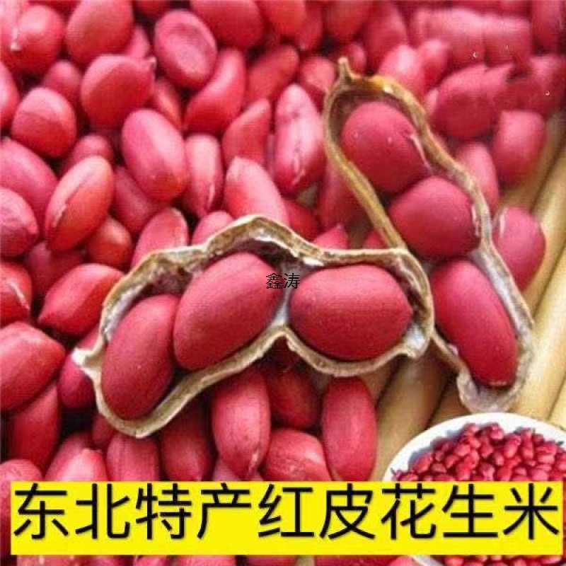 2023 New 2.5kg Red-Skinned Peanuts Without Shells, Original Flavor Raw Peanuts, Fresh Four Small Peanuts Wholesale