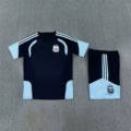 2627 argentina royal blue